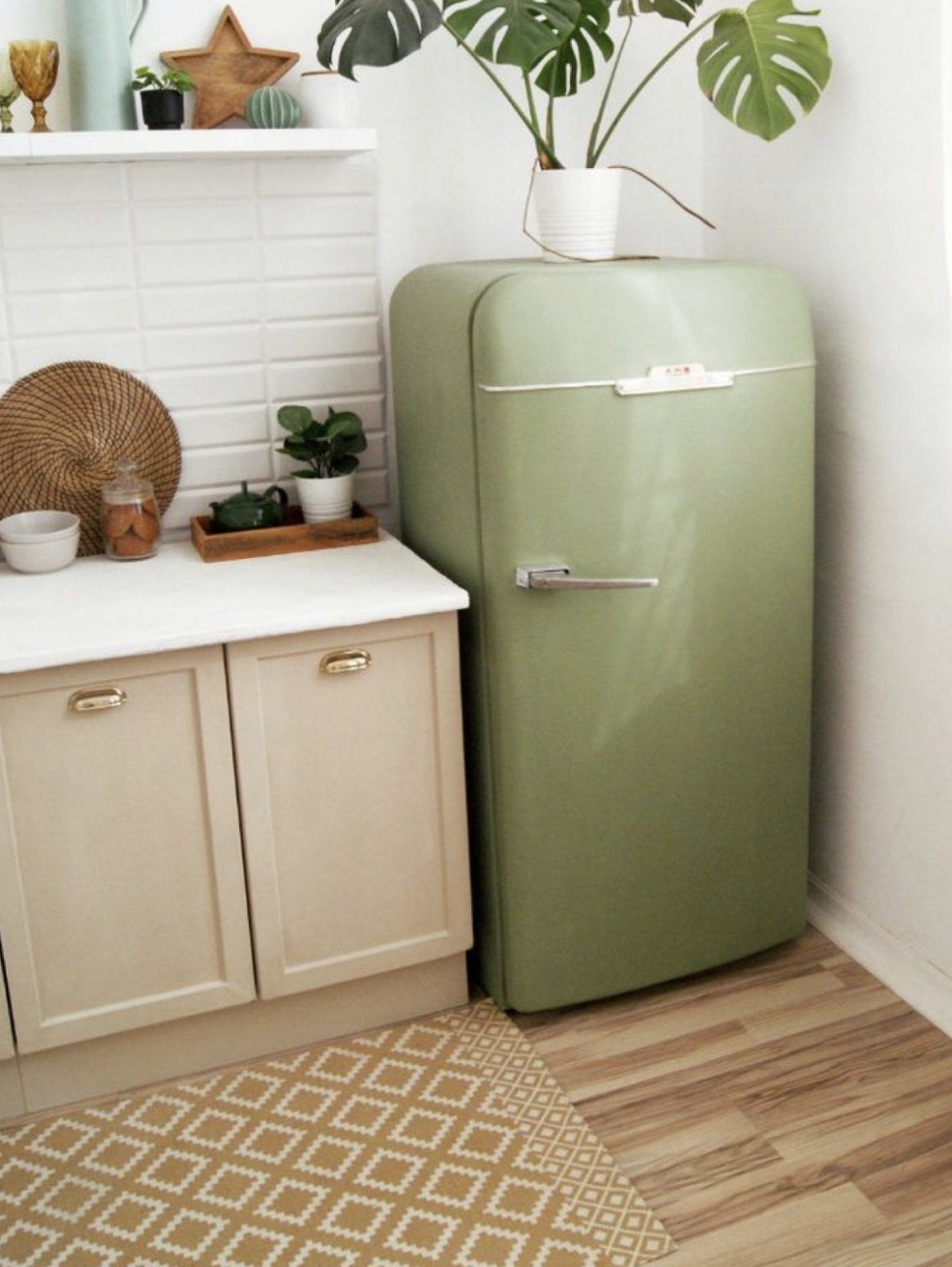 Features of a conventional and built-in refrigerator IQ Kitchens works