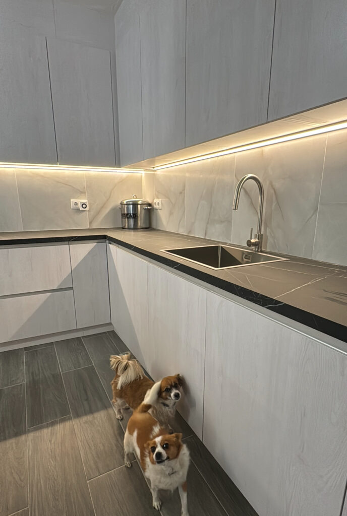 A new kitchen - a new review / Algofra IQ Kitchens works